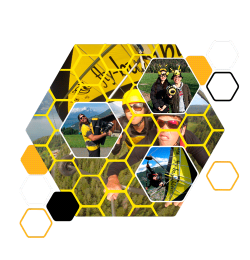 Collage featuring participants wearing bee masks and an action selfie taken mid-flight during a hang gliding experience.